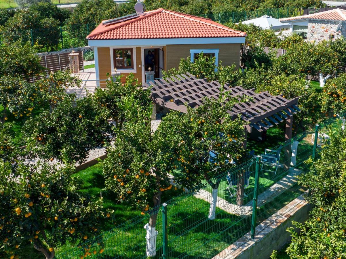 Desa Homes